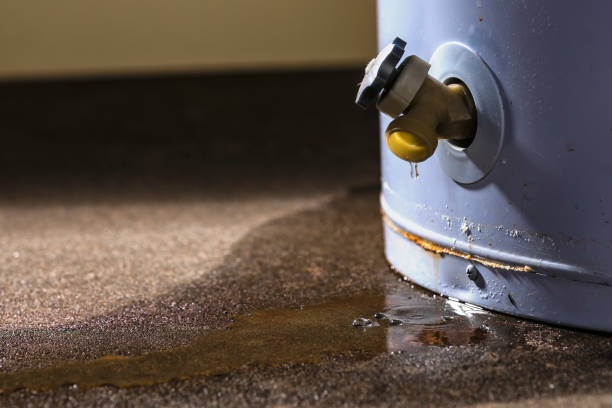 Best Water damage contractors near me  in Roseville, OH