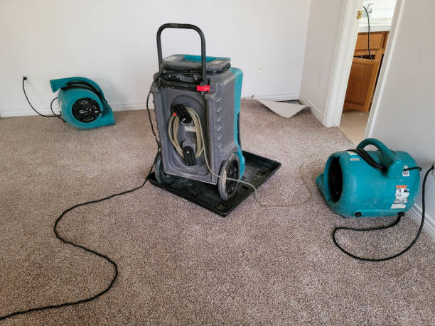 Best 24/7 water damage repair  in Roseville, OH