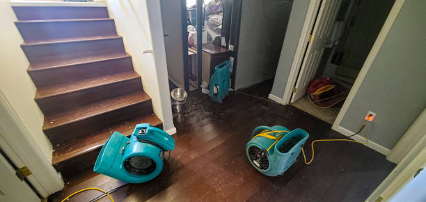 Best Local water damage restoration  in Roseville, OH