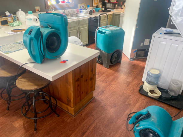 Best Commercial water damage restoration  in Roseville, OH