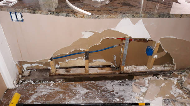 Best Flooded house restoration  in Roseville, OH