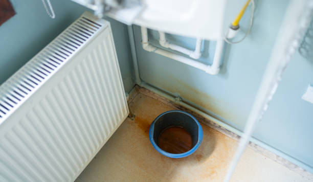 Best Water damage restoration near me  in Roseville, OH