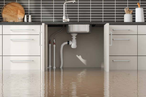 Best Mold removal after water damage  in Roseville, OH