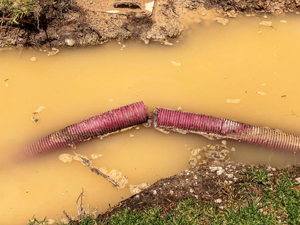 Best Water damage restoration mold remediation  in Roseville, OH