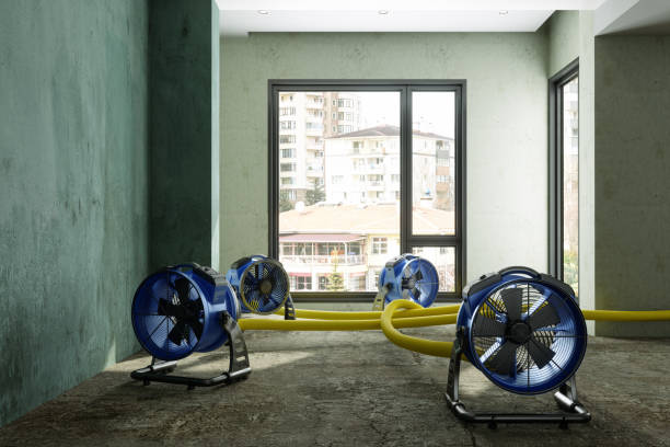 Roseville, OH Water damage restoration Pros